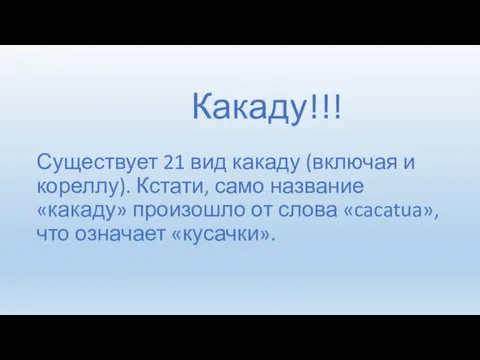 Какаду!!! Существует 21 вид какаду (включая и кореллу). Кстати, само