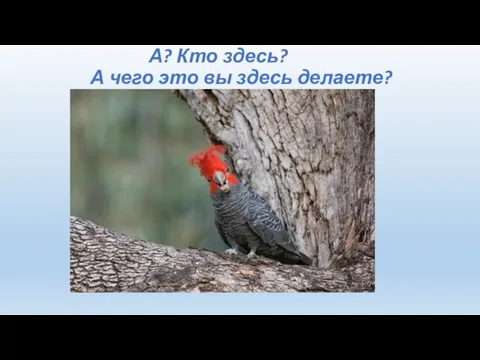 А? Кто здесь? А чего это вы здесь делаете?