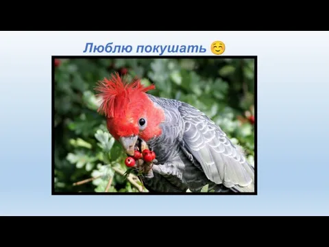 Люблю покушать ☺