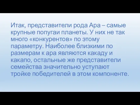 Итак, представители рода Ара – самые крупные попугаи планеты. У