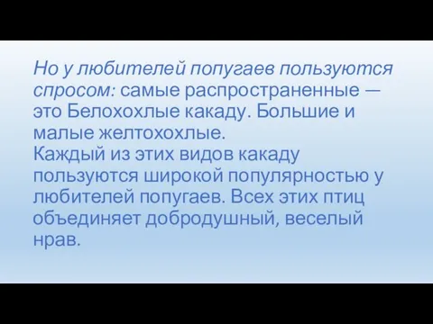 Но у любителей попугаев пользуются спросом: самые распространенные — это