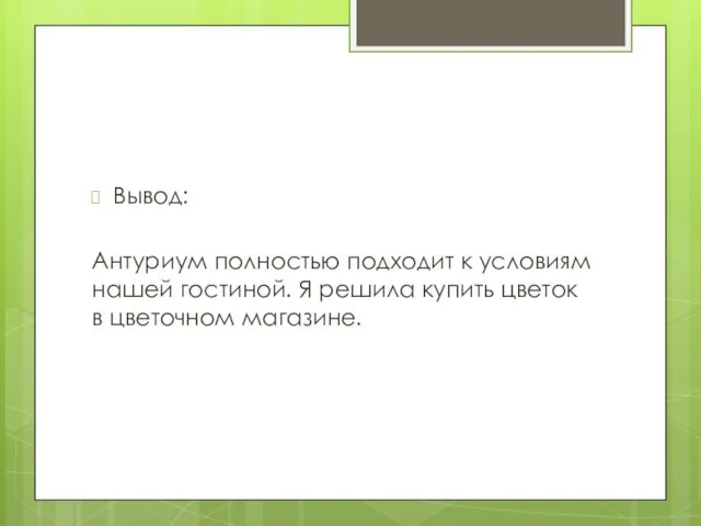 Вывод: Антуриум полностью подходит к условиям нашей гостиной. Я решила купить цветок в цветочном магазине.