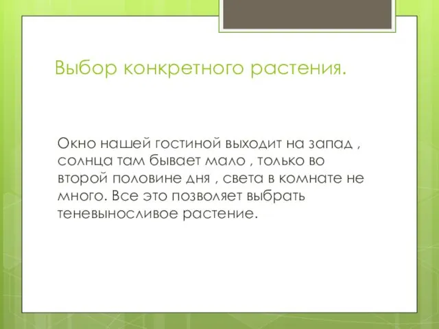 Выбор конкретного растения. Окно нашей гостиной выходит на запад , солнца там бывает