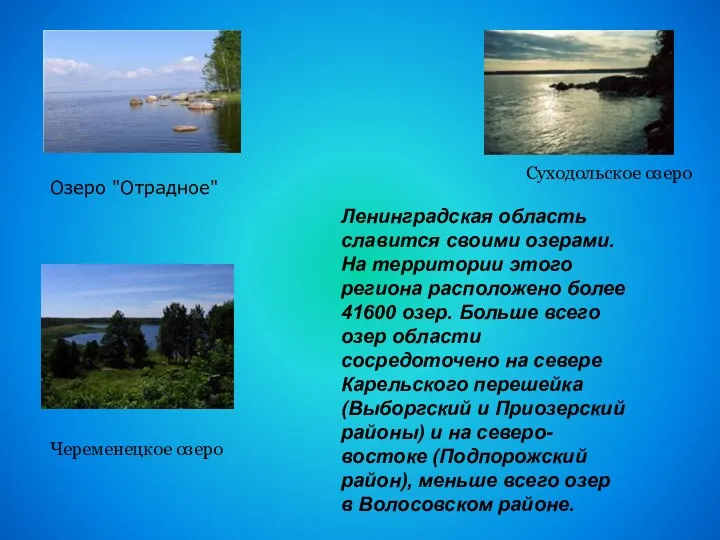 Ленинградская область славится своими озерами. На территории этого региона расположено более 41600 озер.