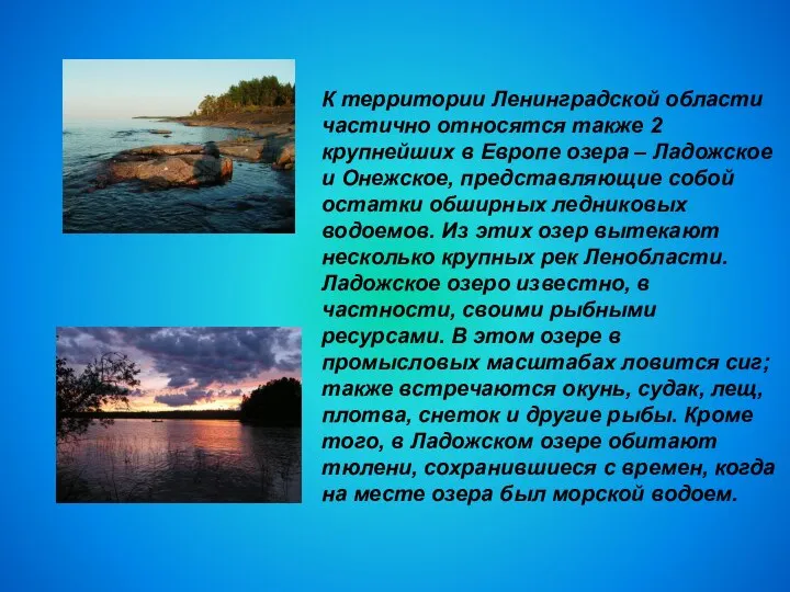 К территории Ленинградской области частично относятся также 2 крупнейших в Европе озера –