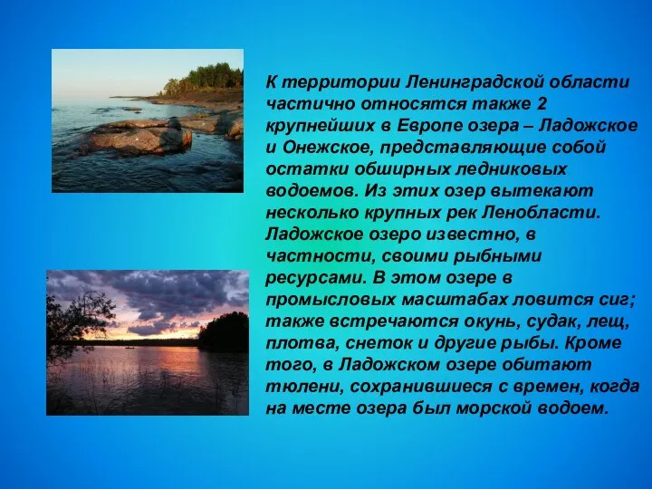К территории Ленинградской области частично относятся также 2 крупнейших в