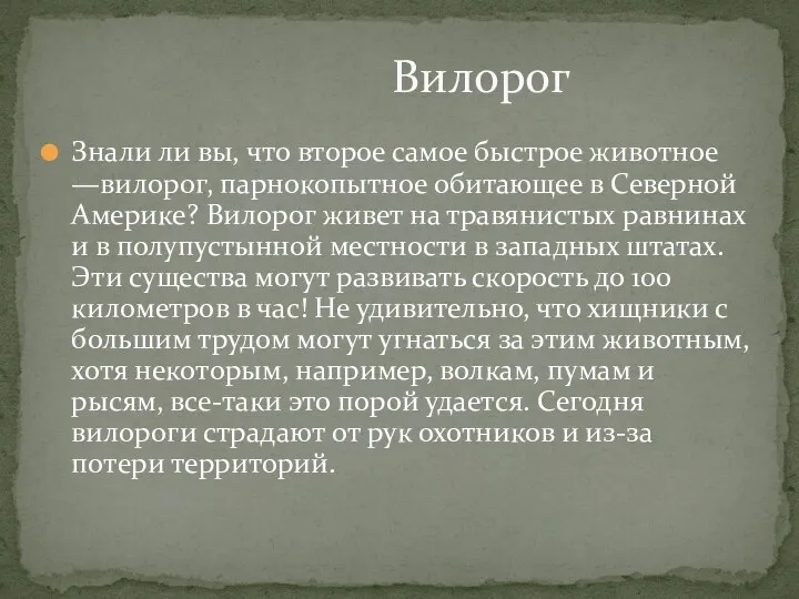 Знали ли вы, что второе самое быстрое животное —вилорог, парнокопытное обитающее в Северной