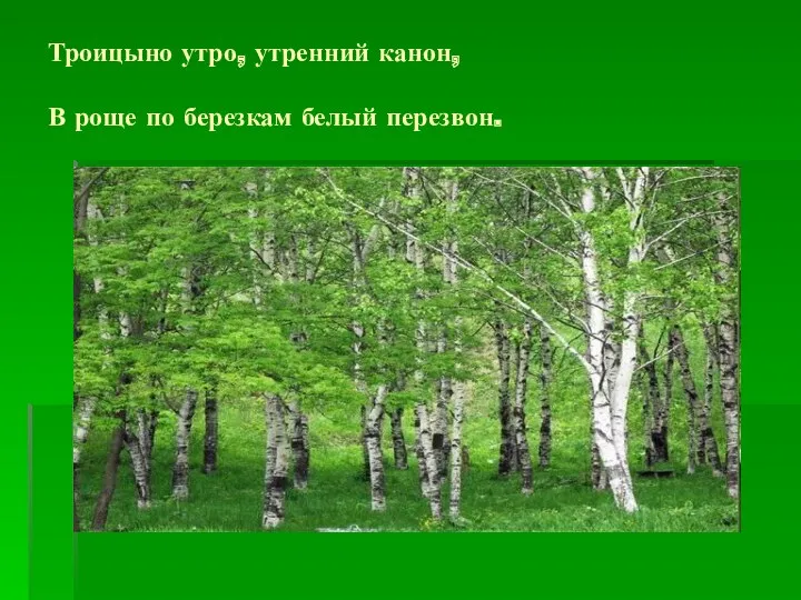 Троицыно утро, утренний канон, В роще по березкам белый перезвон.