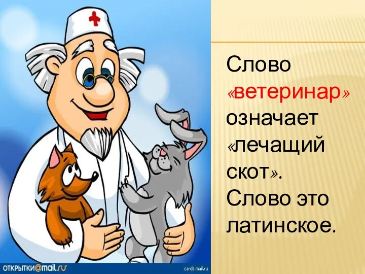 Слово «ветеринар» означает «лечащий скот». Слово это латинское.