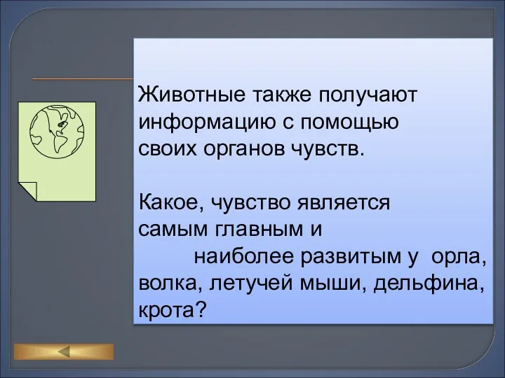 Животные также получают информацию с помощью своих органов чувств. Какое,