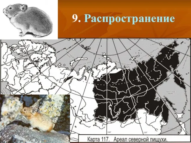 9. Распространение