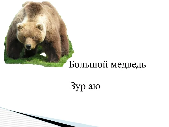 Большой медведь Зур аю