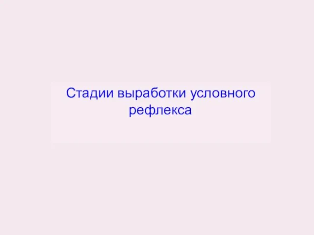 Стадии выработки условного рефлекса