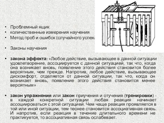 Проблемный ящик количественные измерения научения Метод проб и ошибок (случайного