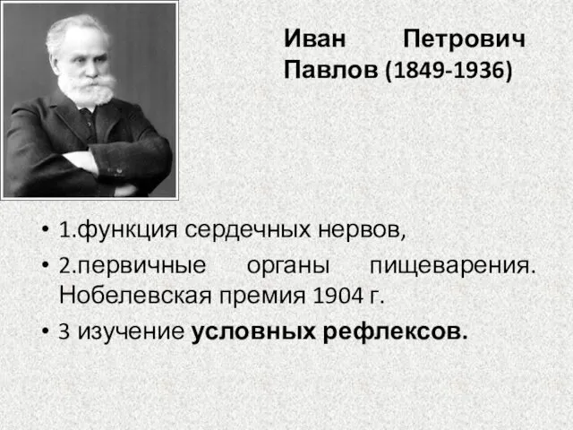 Иван Петрович Павлов (1849-1936) 1.функция сердечных нервов, 2.первичные органы пищеварения.