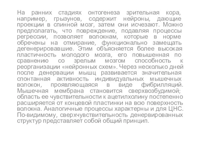 На ранних стадиях онтогенеза зрительная кора, например, грызунов, содержит нейроны,