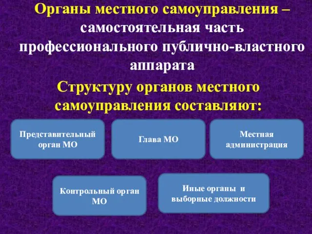 Органы местного самоуправления – самостоятельная часть профессионального публично-властного аппарата Структуру