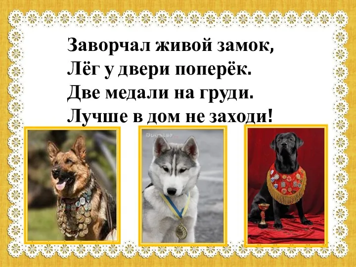 Заворчал живой замок, Лёг у двери поперёк. Две медали на груди. Лучше в дом не заходи!