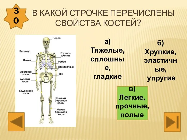 В какой строчке перечислены свойства костей? 30 а) Тяжелые, сплошные, гладкие в) Легкие,