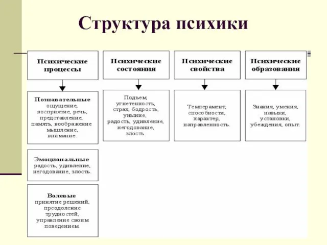 Структура психики