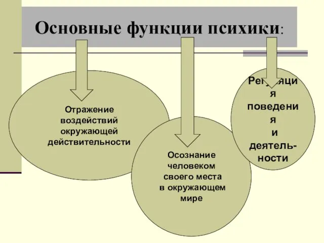 Основные функции психики: Отражение воздействий окружающей действительности Осознание человеком своего