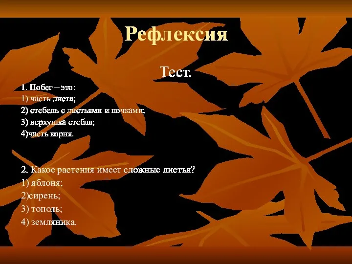 Рефлексия Тест. 1. Побег – это: 1) часть листа; 2)