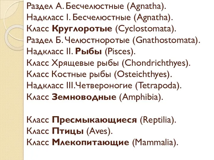 Раздел А. Бесчелюстные (Agnatha). Надкласс I. Бесчелюстные (Agnatha). Класс Круглоротые (Cyclostomata). Раздел Б.