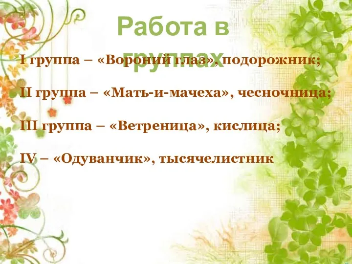 Работа в группах I группа – «Вороний глаз», подорожник; II группа – «Мать-и-мачеха»,