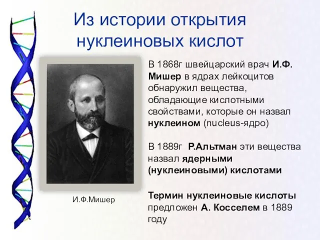 Из истории открытия нуклеиновых кислот В 1868г швейцарский врач И.Ф.Мишер