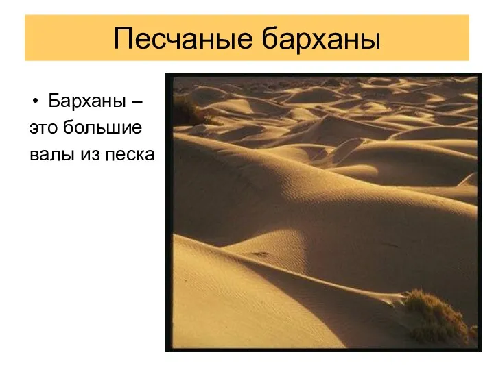 Песчаные барханы Барханы – это большие валы из песка