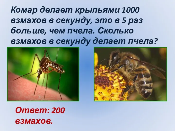 Комар делает крыльями 1000 взмахов в секунду, это в 5