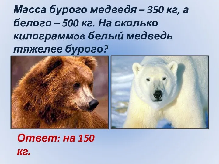 Масса бурого медведя – 350 кг, а белого – 500