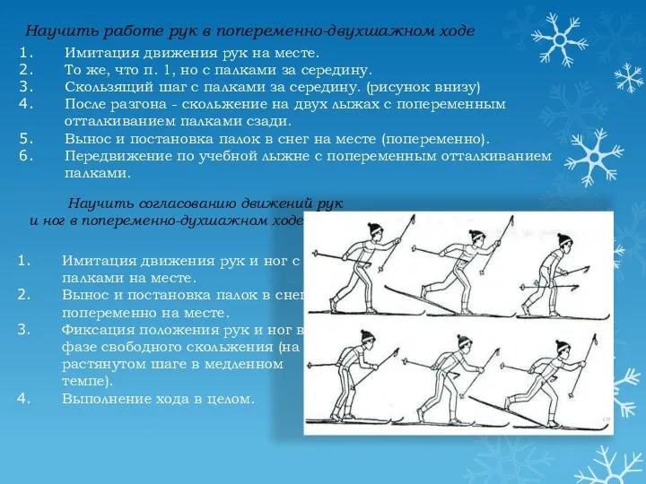 Научить работе рук в попеременно-двухшажном ходе Имитация движения рук на