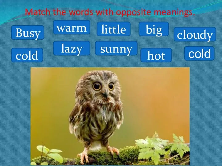 Match the words with opposite meanings. Busy warm cold lazy little sunny big hot cloudy cold