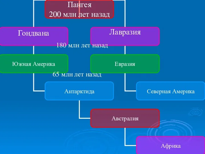 180 млн лет назад 65 млн лет назад