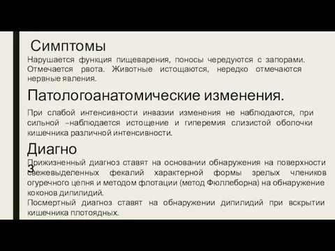 Симптомы Нарушается функция пищеварения, поносы чередуются с запорами. Отмечается рвота.