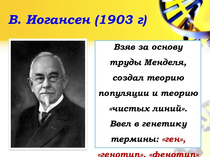 В. Иогансен (1903 г) Взяв за основу труды Менделя, создал