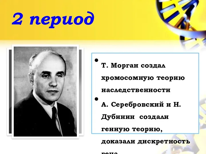 2 период Т. Морган создал хромосомную теорию наследственности А. Серебровский