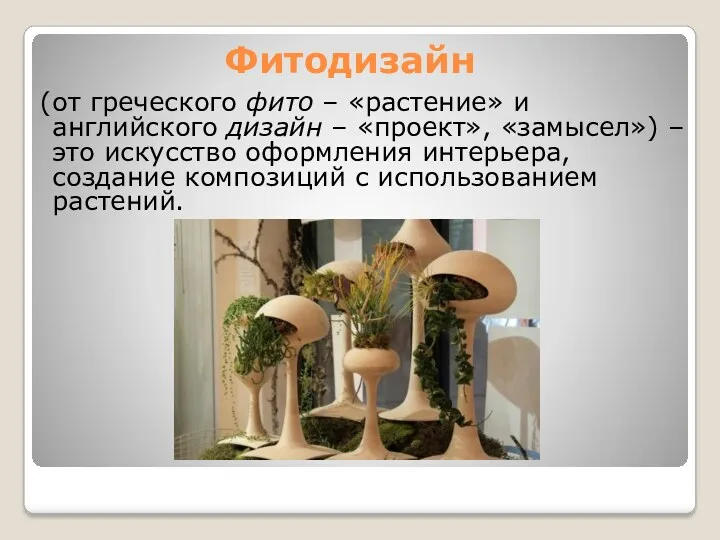 Фитодизайн (от греческого фито – «растение» и английского дизайн – «проект», «замысел») –