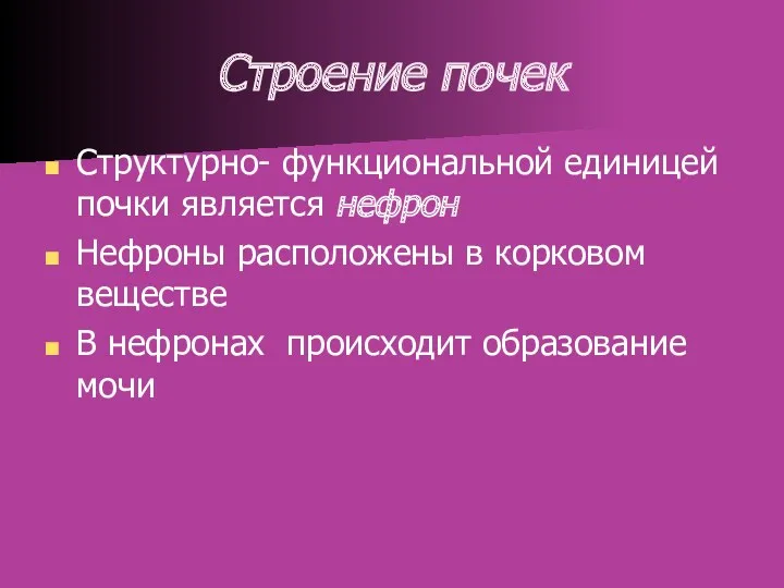 Строение почек Структурно- функциональной единицей почки является нефрон Нефроны расположены