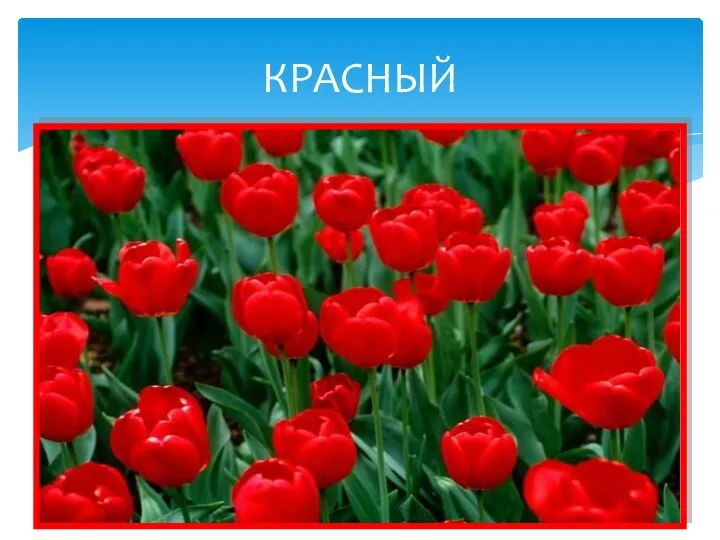 КРАСНЫЙ