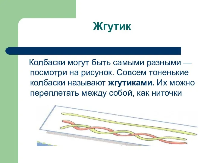 Жгутик Колбаски могут быть самыми разными — посмотри на рисунок.