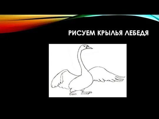 Рисуем крылья лебедя