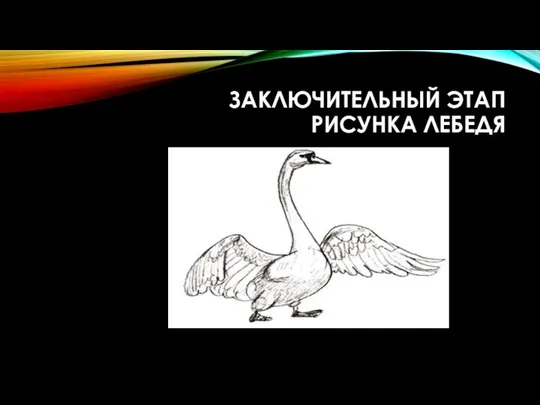 Заключительный этап рисунка лебедя