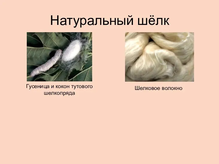 Натуральный шёлк Гусеница и кокон тутового шелкопряда Шелковое волокно