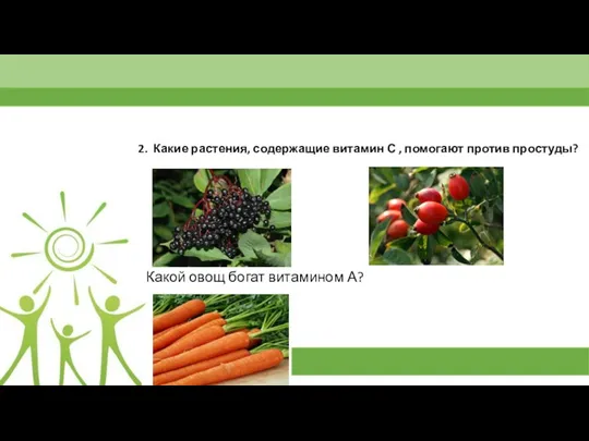 2. Какие растения, содержащие витамин С , помогают против простуды? Какой овощ богат витамином А?