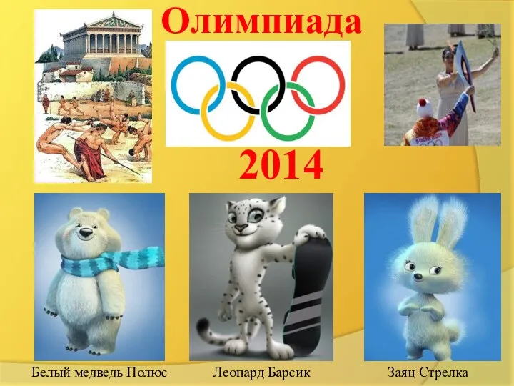 Белый медведь Полюс Леопард Барсик Заяц Стрелка Олимпиада 2014