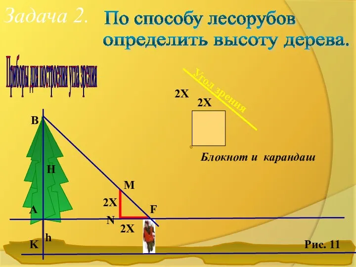 Задача 2. По способу лесорубов определить высоту дерева. Приборы для