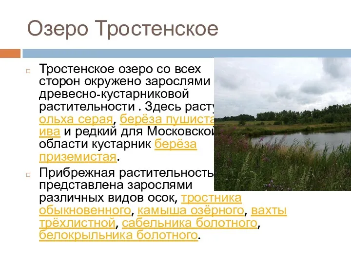 Озеро Тростенское Тростенское озеро со всех сторон окружено зарослями древесно-кустарниковой