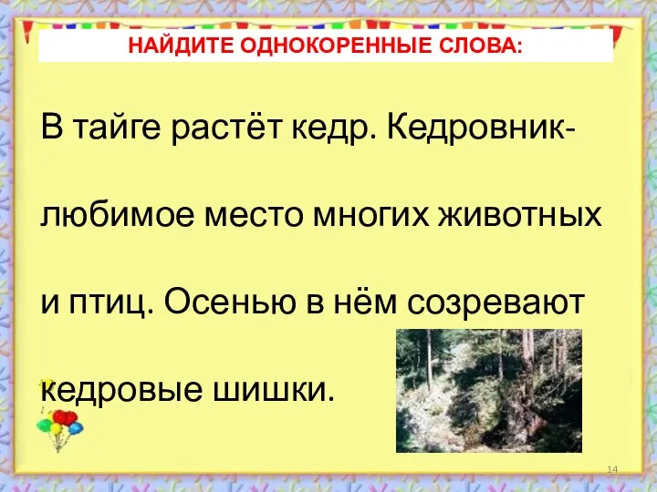 В тайге растёт кедр. Кедровник- любимое место многих животных и